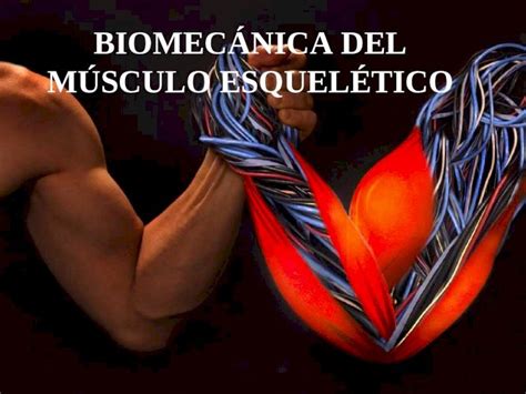 Ppt Biomecanica Musculo Dokumen Tips