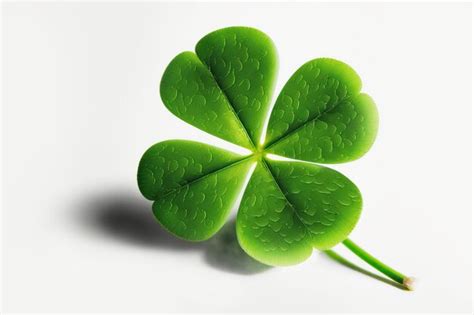 Premium Photo Green Fourleaf Clover Isolated On White