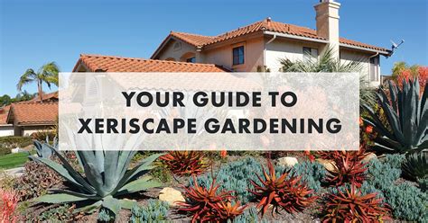 Guide To Xeriscape Gardening Nfm Lending