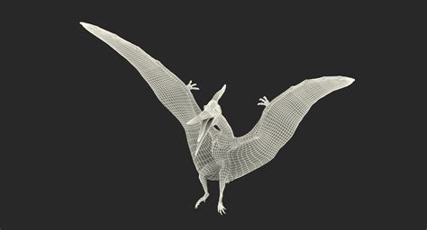 3D Pteranodon Flying Carnivorous Reptile TurboSquid 1384854