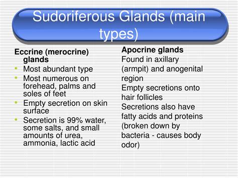 Ppt Integumentary System Powerpoint Presentation Free Download Id