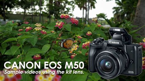 Canon Eos M50 Sample Videos Youtube