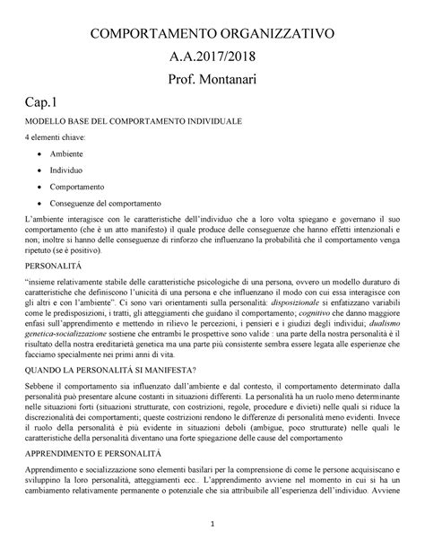 Riassunto Di Comportamento Organizzativo Prof Montanari Comportamento