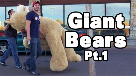 Giant Bears Pt1 Youtube