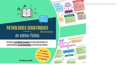 Summary Pathologies G Riatriques En M Mo Fiches Fiches Sch Matiques