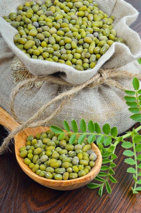 Chickpea Varieties in a Burlap Bag with Green Sprouts Stock Image ...