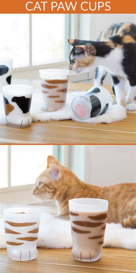 Super Cute Cat Paw Cups For Feline Lovers Inspire Uplift Cat Paws