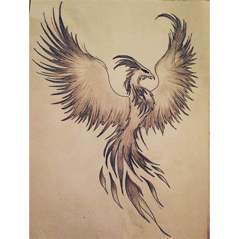 My Phoenix Drawing Draw Drawing Phoenix Fire Design Tattoo