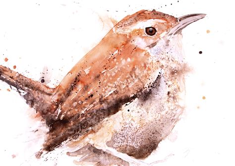 Wren Painting Wren Watercolour Painting Hand Signed Limited Edition