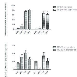 A And B Real Time PCR For TNF The Gene Expression Levels Of TNF