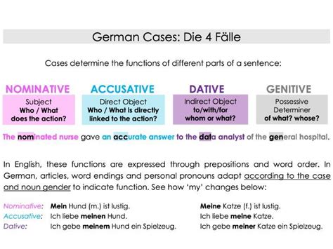 German Case System Overview Teaching Resources