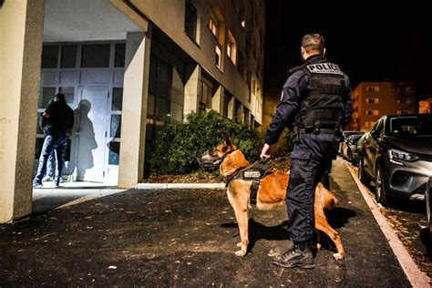 Immersion Avec La Brigade Canine De La Police Nationale Vierzon Et