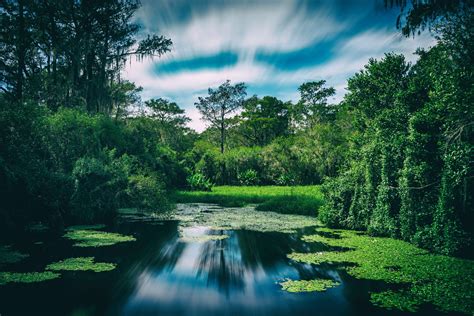 Most Beautiful Florida Community