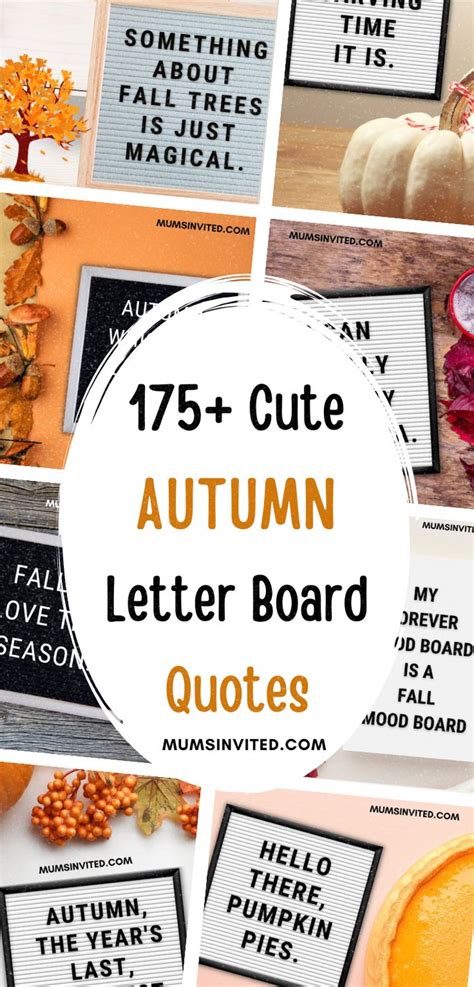 179 Cute Fall Letter Board Quotes: Funny & Adorable Sayings for Autumn