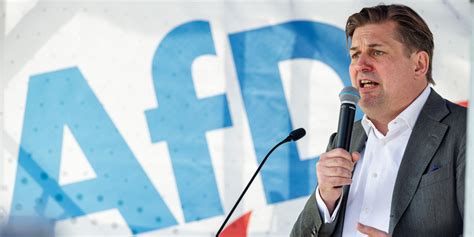 European Parliament German Far Right Party Afd Sidelined