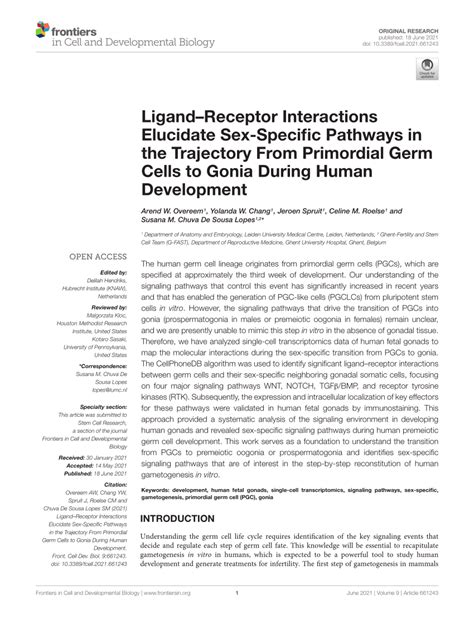 Pdf Ligand Receptor Interactions Elucidate Sex Specific Pathways In The Trajectory From