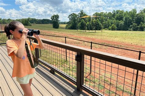 We Went To Georgia Safari Conservation Park And Heres What We Thought Of It