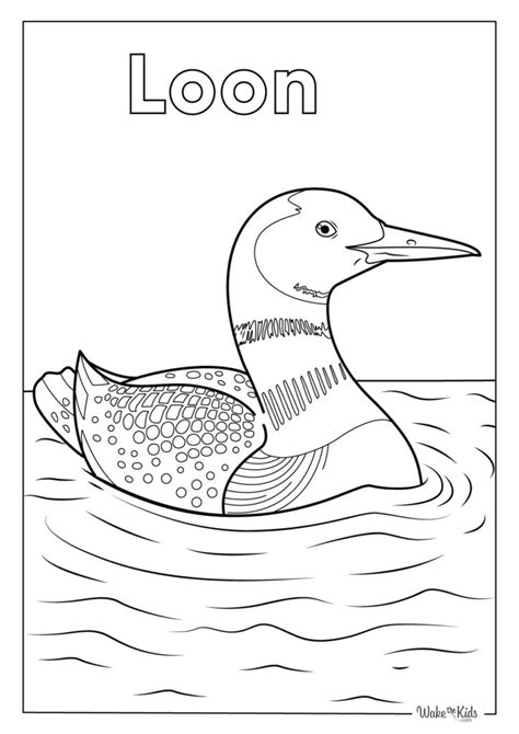 Loon Coloring Pages (Free Printable PDFs) | WakeTheKids