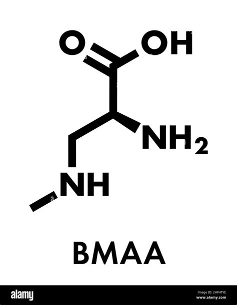 beta-Methylamino-L-alanine (BMAA) toxic amino acid molecule. Produced ...