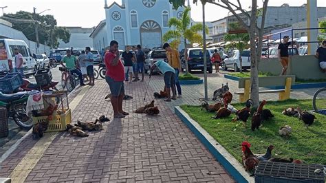 Vanio Das Galinhas Registrando As Novidades Da Feira Em Taquarana