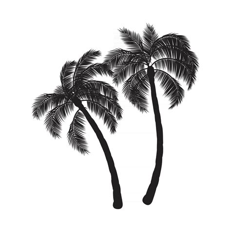 Coconut Palm Trees Vector Art At Vecteezy