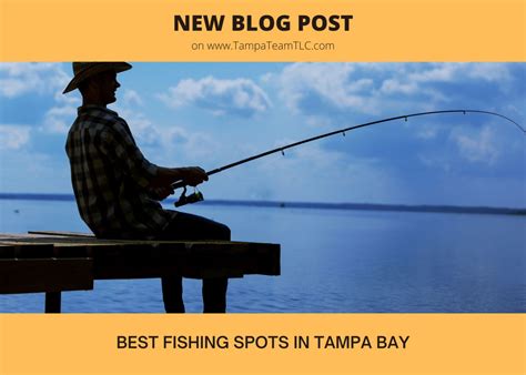 Unlocking The Treasures Of Tampa Bay A Comprehensive Guide To Fishing