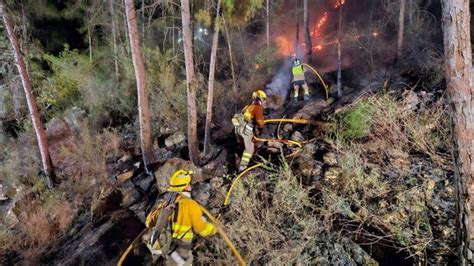 Controlado El Incendio Forestal En La Sierra De Altaona En Murcia Que