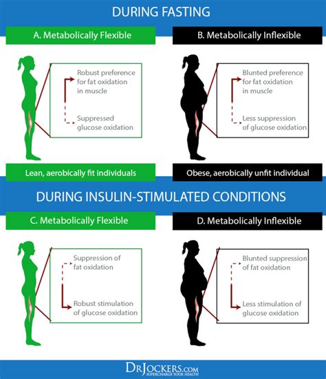 5 Healing Benefits Of Intermittent Fasting DrJockers