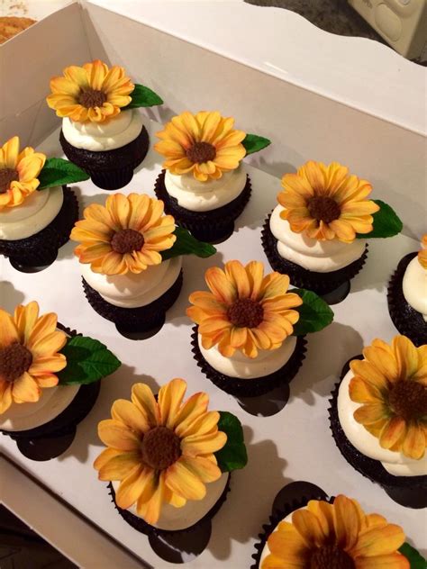 Ray Of Sunflower Cupcakes Rich Co Ho Collate Sponge With Smooth