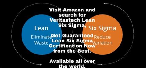 Lean Six Sigma Belts And Roles Your Helpful 5 Minute Guide Atelier Yuwaciaojp