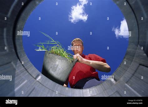 Man Throwing Garden Rubbish Into Recycling Bin For Composting Uk Stock