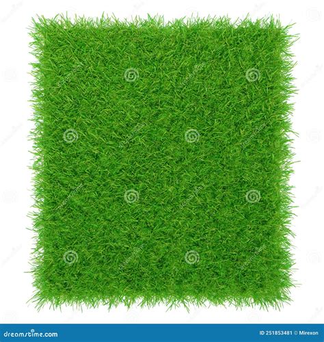 Green Grass Texture Background Green Lawn Backyard For Background 3d