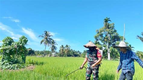 Jelang Ramadhan Anggota Babinsa Pantau Harga Sembako Di Pasar