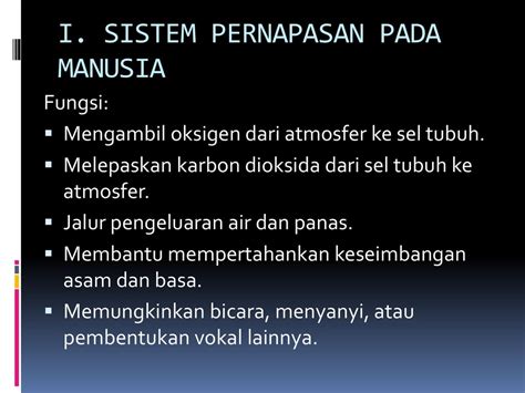 Soal Dan Pembahasan Sistem Respirasi Manusia Kls Xi Materi Soal