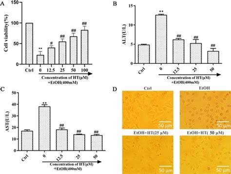 Full Article Hydroxytyrosol Attenuates Ethanol Induced Liver Injury By