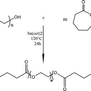 Synthesis Scheme Of Triblock Copolymer PCL PEG PCL By ROP