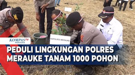 Polres Merauke Tanam Pohon Demi Lingkungan Berkelanjutan Youtube