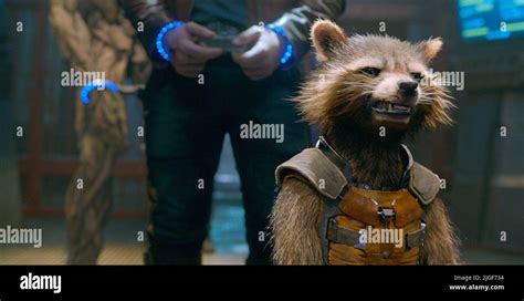 ROCKET, GUARDIANS OF THE GALAXY, 2014 Stock Photo - Alamy