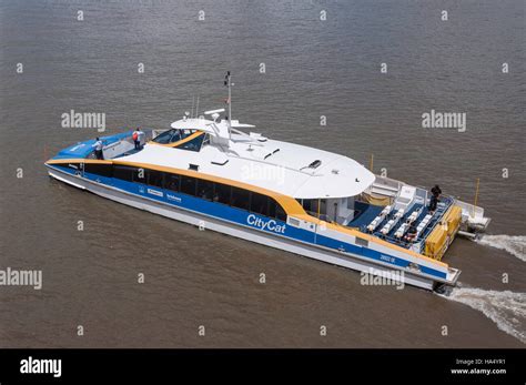 Citycat High Resolution Stock Photography And Images Alamy