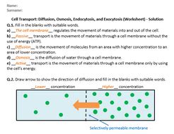 Cell Transport: Diffusion, Osmosis, Endocytosis, and Exocytosis ...