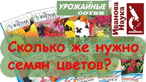 Сколько нужно купить семян цветов, чтобы получить красивый пышный ...