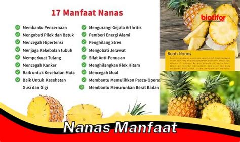 Temukan Manfaat Nanas Yang Perlu Anda Tahu Biotifor