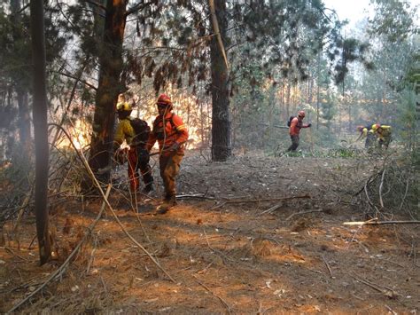 Conaf Llama A Reforzar La Prevenci N De Incendios Forestales Durante