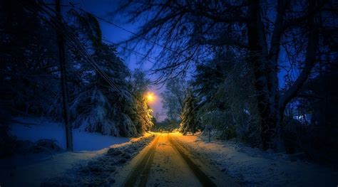 Sfondi Luce Del Sole Alberi Paesaggio Luci Foresta Strada Notte