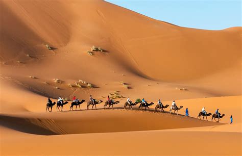 Morocco Camel Ride Tours To Explore The Sahara Desert Of Erg Chebbi In