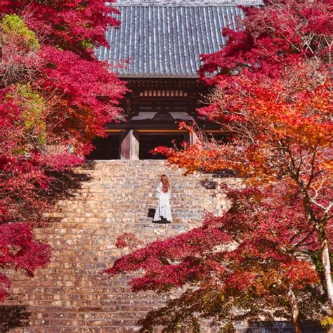 Best Day Trips From Kyoto