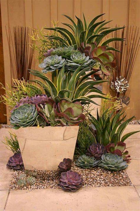 Beautiful Desert Garden Design Ideas For Your Backyard Freshouz