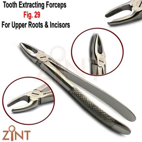 Tooth Extraction Forceps Fig For Upper Roots Oral Surgery