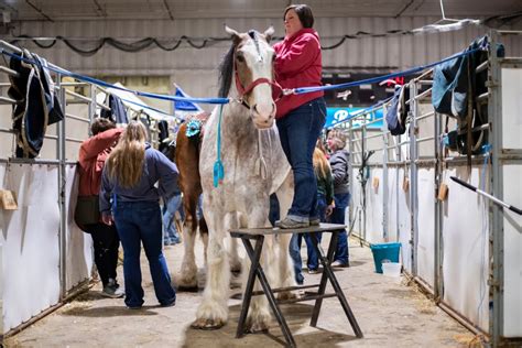 Manitoba producers eager for spring planting as Brandon Winter Fair ...