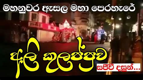 මහනුවර ඇසල මහා අවසන් රන්දෝලි පෙරහැරේ අලි කුලප්පුව සජීවී දසුනක් Youtube